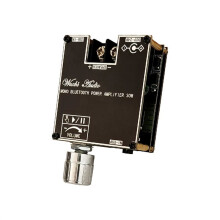 WUZHI AUDIO ZK-301B Amplificatore di Potenza Audio Mono BT5.3 da 30 W, AMP, True Wireless, Wuzhi Audio APP Music