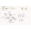 2X ESP32-C3  Development Board WiFi  ESP32 Super  Development Board ESP32-C3 Development Board 5