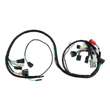 Elektrische Hoofdkabelboom voor 450R TRX450R Sportrax 450 2x4 2004 2005 32100-HP1-000