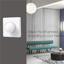2X Tuya Zigbee Dimmer Light Dimming Panel Wall 220-240V Works with Alexa Home APP
