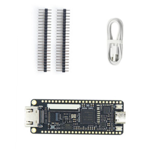 2X Tang  9K FPGA Development Board GOWIN GW1NR-9 RISC-V HDM Kit 1