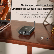 YS-T100W TPA3116 5.3 Mono Power Amplifier, 12-24V Boost Audio 100W Amplifier Support APP Control EU Plug