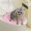 Reusables Cats Toilet Training Steps-by-Steps Litter-Blue 6