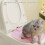 Reusables Cats Toilet Training Steps-by-Steps Litter-Blue 7