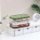 Small Fish Hatching Box Transparency Breeding Tank for-Green 7