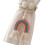 2Sets Rainbow Tasseled Curtain Tiebacks, Curtain Holders With-3 1