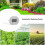 8  Pump Timer System Outdoor Automatic Watering Pump Controller Flowers Plants Home Sprinkler Drip Irrigation Device 2