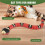 Sensing Snake Toy,Cat Interactive Toys USB Rechargeable Realistic Simulation Electric Snake Toy 6