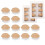 Replacement Eyelids for Eyelash Mannequin , Removable Eyelid with Eyelashes Extension Training Lash Mannequin 7