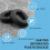 Ear Cushion Memory Foam Ear Pads Replacement Compatible with  E65 E65BTNC / Duet NC / Live 650BTNC Live 660 BTNC 6