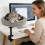 Iron Polyester Puss Rest Twist Suspended Bed Against-dark gray 6