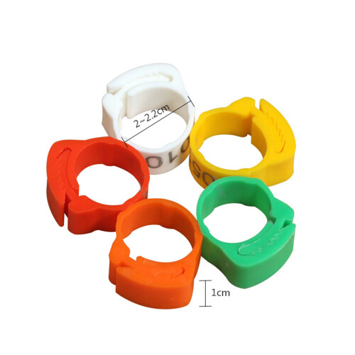 100 Count Visible Plastic Poultry Leg Markers Multicolored For 2