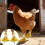 Pack of 4 Ventilated Chicken Leg Splints for Injury Amendment-h 6
