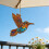 Attrape-soleil en forme de colibri, décorations de panneau de 2