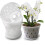 Vasos de OrquíDea - 7 Polegadas - 5 Potes e Pires, Potes de OrquíDea com Furos e Potes de PláStico Transparente para Repotting 5