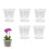 Vasos de OrquíDea - 7 Polegadas - 5 Potes e Pires, Potes de OrquíDea com Furos e Potes de PláStico Transparente para Repotting 10
