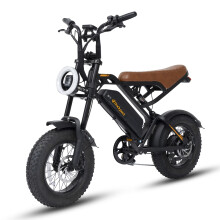 bodywel 48V13.5AH Full Suspension Electric Bike