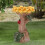 Sonnenblumen Vogelbad Harz Gartendeko 11