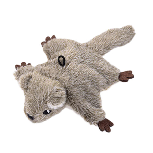 Automatisches Schütteln,-kleines fliegendes Eichhörnchen