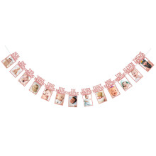 12 Monate Fotorahmen Banner Happy Birthday Dekoration Erste-Rosa