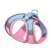 Imbracatura e Guinzaglio per Cani in Rete Riflettente e Traspirante, Taglia XXS, Petto 23-29cm