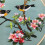 3 Sets DIY Embroidery Kit for Beginners Adults, Includes Holiday Cat, Hoop, Color Threads, Tools 3