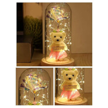 Rose Flower Gift, Rose in Glass Dome with LED Light String the Crystal Rose Unique Gifts for Women
