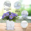Vasos para Plantas Internos Vaso para Plantas AutoirrigáVeis de 4,25 Polegadas para Ambientes Internos, Vasos Violetas com ReservatóRio VisíVel 6
