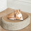 Concave Shape Cats Scratching Post Ergonomic Support Scratcher 2