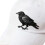 Gothic Crow Embroidered Baseball Cap Adjustable Strap Sun-Black 4