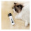 Rechargeable Pet Unguis Pruner Highlighting 400mAh-Black 4