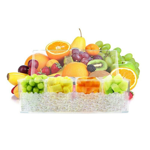 Ice Chilled Condiment with 4 Containers, Condiment Server with Separate Lids, Serving Tray Platter