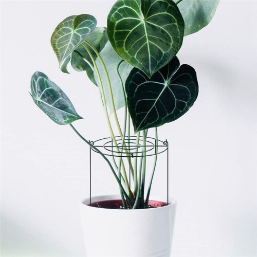 3 Sets Peony Support Cage, Grow Through Hoops Grids with 4pcs Legs,Plant Support Brace,Flower Strong Support Ring 2