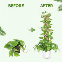 4 Packs Plastic Moss Pole for Plants Monstera, Stackable Plant Support for Indoor Climbing Plants, Clear Plant Poles