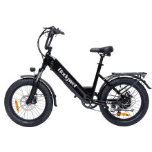 bodywel F20 48V13.5AH 500W Step-Thru City Ebike