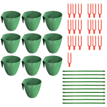 Les tasses respirables de propagation de fraise incluent la-L 8
