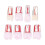 8Pcs Resin Root Canal Model Assorted Color for Student Practice 1