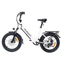 bodywel F20 13.5AH 500W Step-Thru City Ebike,white