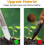 Stackable Transparent Plastic Moss Pole for Plants Monstera , Indoor Plant Accessories Support Stakes, Plant Stakes 6