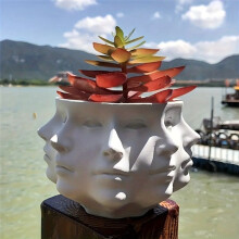 Abstract Style Flowerpot Vase Mould Multi-Faceted Human Face Flower Pot Black