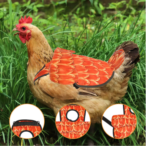 Tablier de selle de poulet imperméable pour-Poulet arc-en-ciel 2