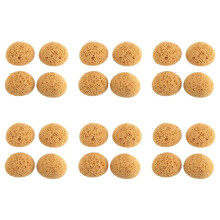 24Pcs Texture Sponge Drywall Texture Sponge Texture Patch Sponge for Texture Repair DIY Painting Ceiling (12 x 9 x 7cm)