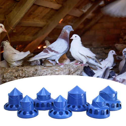 Distributeur automatique de nourriture de solution-12 trous 2