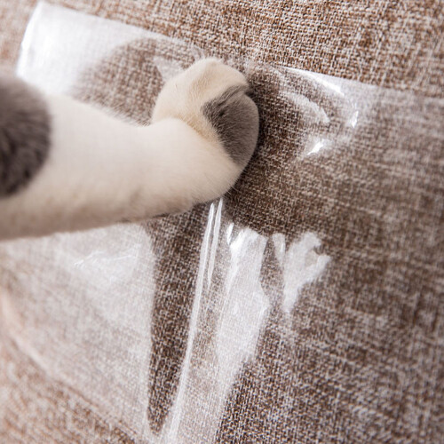 Protector Pour Anti-Griffures Chat 2
