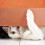 Protector Pour Anti-Griffures Chat 5