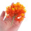 5Pcs Yellow Mini Maple Tree Decoration Plastic Wire Material 3