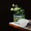 100 Pcs Clear Covers Plant Pot Protective Transparent 5