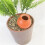 4 Pack Ceramic Automatic Plant Dripper Self-Watering Device for Home Balcony and Garden Multiple Colors 4