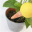 4 Pack Ceramic Automatic Plant Dripper Self-Watering Device for Home Balcony and Garden Multiple Colors 9