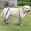 Chaussons de pluie pour chien, protecteurs de pattes,-ML 6